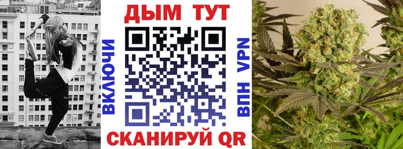 Бошки марихуана ГИДРОПОН  Горняк 